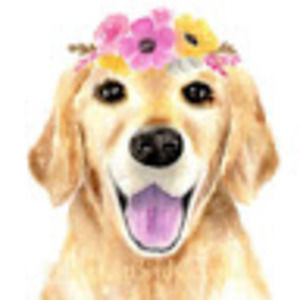 Meet your Posher, Calissa